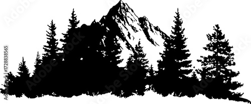 "Peaceful Mountain Forest"