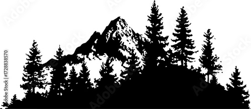 "Peaceful Mountain Forest"