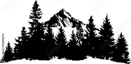 "Peaceful Mountain Forest"
