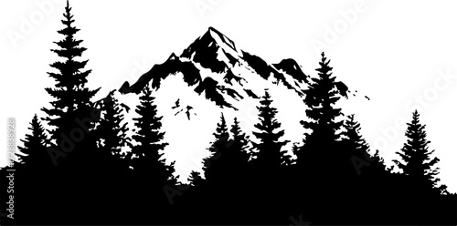 "Monochrome Wilderness"
