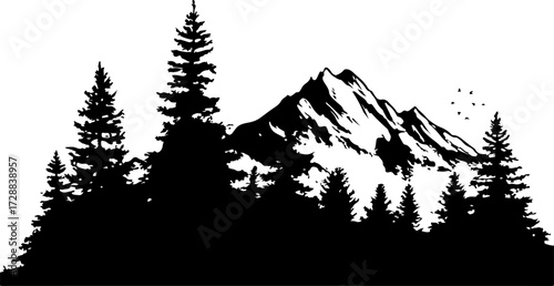 "Monochrome Wilderness"