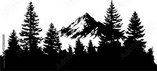 "Monochrome Wilderness"