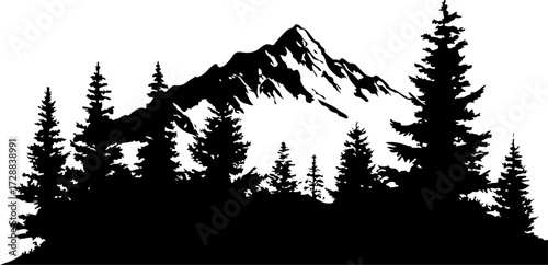 "Monochrome Wilderness"