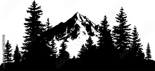 "Monochrome Wilderness"