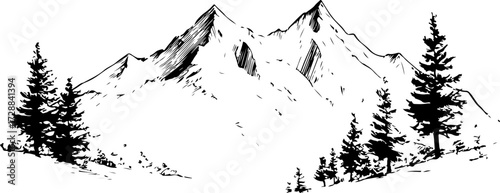 "Monochrome Wilderness"