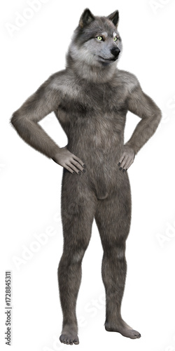 Gray anthropomorphic wolf standing in akimbo pose. 3d rendering on transparent background, no AI used