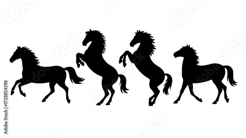 "Silhouettes of Strength"