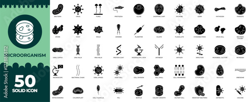 Collection of Microorganism Solid Icon Set