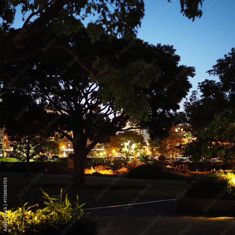 Obraz premium Night park with illuminated trees and city lights 夜の公園 木々と街の灯り