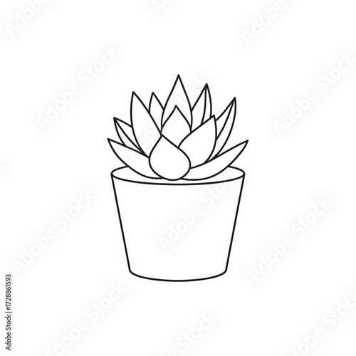Elegant outline of a succulent plant in a simple pot, perfect for modern home decor, nature-themed designs, and botanical illustrations adding fresh, natural beauty.