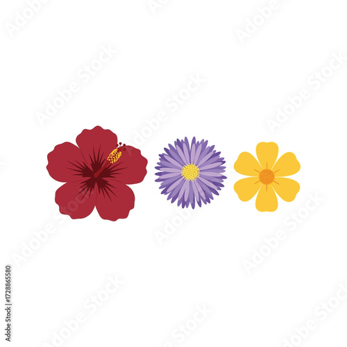 Three diverse colorful spring flowers isolated on vector