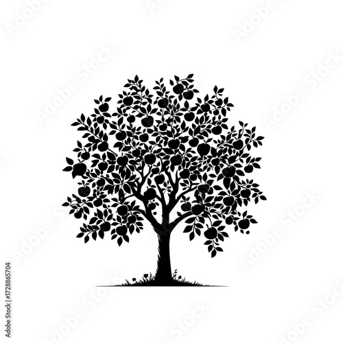 Apple Tree Vector – Orchard with Fresh and Ripe Apples