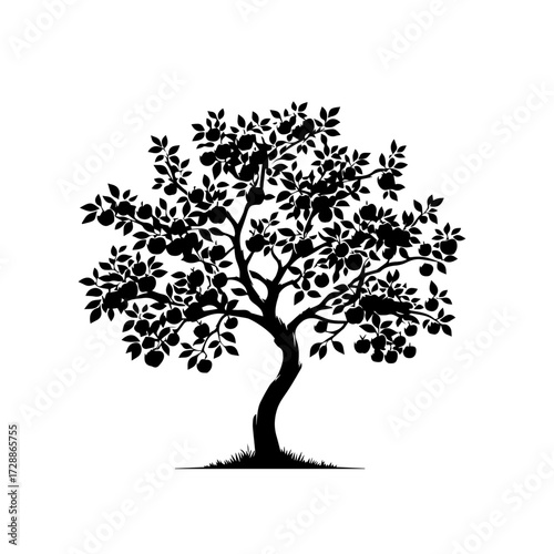 Apple Tree Vector – Natural Orchard with Fresh Seasonal Apples