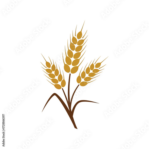 Golden wheat stalks fresh harvest organic agriculture food ingredient nature vector