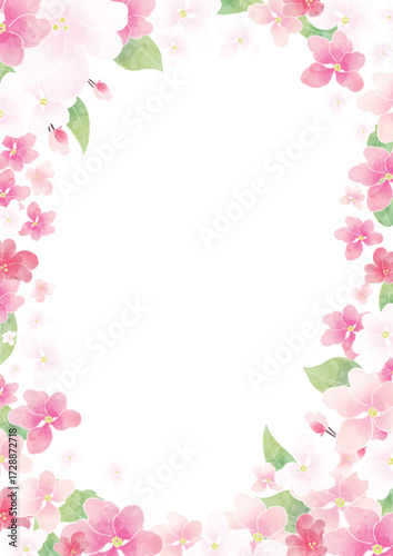 Apple blossom frame/background(vector)	