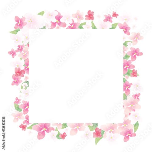 Apple blossom frame/background(vector)	