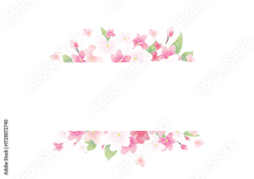 Apple blossom frame/background(vector)	