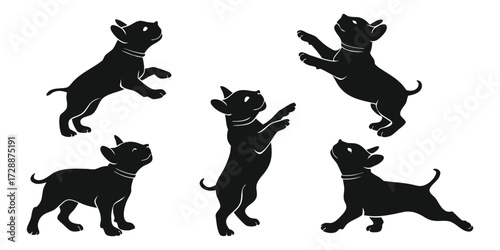 Collection of playful black silhouette chihuahua dogs in various dynamic poses against a white background