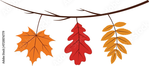 Autumn leaves hanging on branch simple autumnal seasonal decoration vector