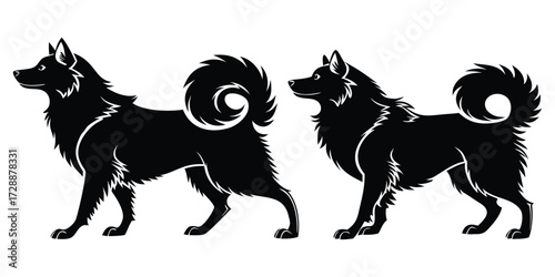 Two black silhouette nordic spitz type dogs with curled tails standing side by side