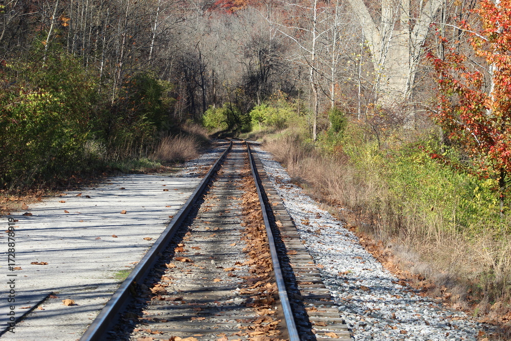 Fototapeta premium railroad tracks in autumn