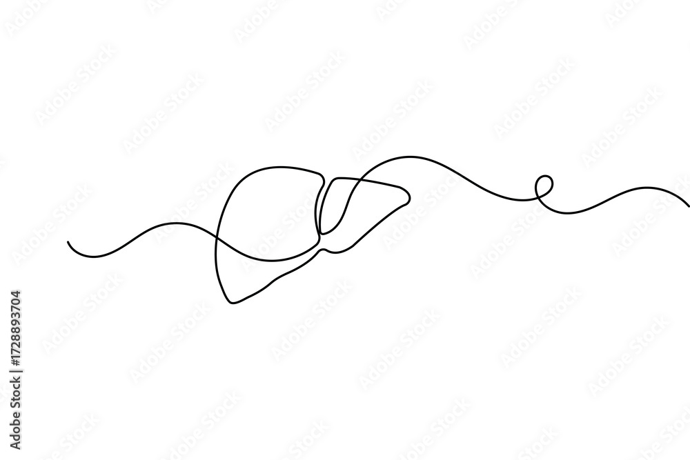 Fototapeta premium Human liver anatomy outline continuous one line drawing minimalist medical organ vector illustration 