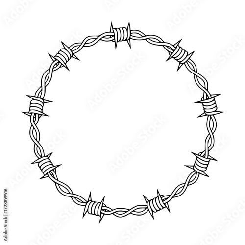 barbed wire frame