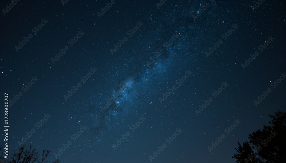 Fototapeta premium Milky Way Galaxy Over Trees