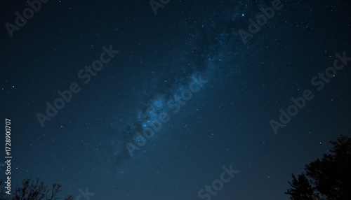 Milky Way Galaxy Over Trees
