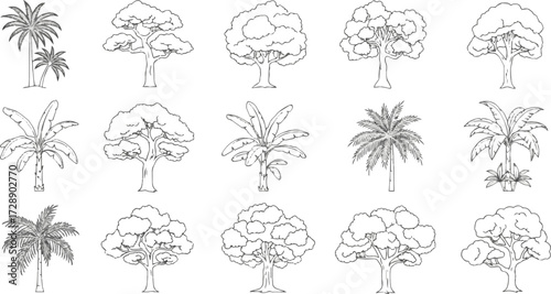  Isolated a kinds of deferent Minimal style cad tree line, Side view, set of graphics trees elements outline symbol for architecture and landscape design drawing. Tropical vector art .