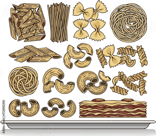  Isolated a kinds of deferent pasta in a tray vector art with white background.