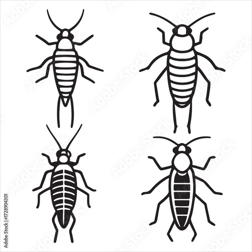 A Silvery Nocturnal Silverfish Insect, a Damaging Lepismasaccharina Bristletail House Hold Pest with a Fishlike Appearance, Known for Infestation and Damage to Paper
