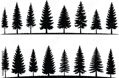 Black silhouette illustration of pine and fir trees, evergreen forest vector set of conifer shapes isolated on white background
