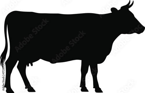 Black silhouette of a standing cow in profile view, farm animal illustration, livestock vector graphic isolated on white background