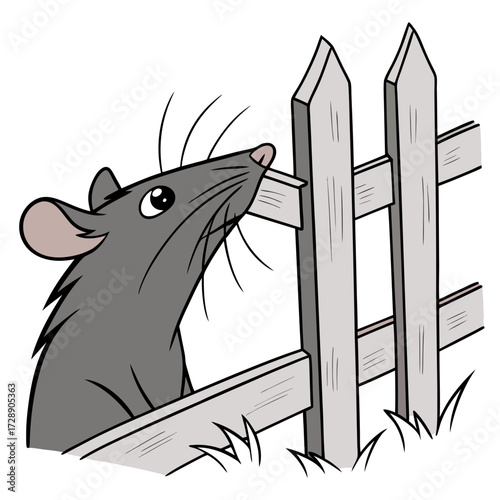 Curious cartoon gray rat peeking over a wooden picket fence with grass below