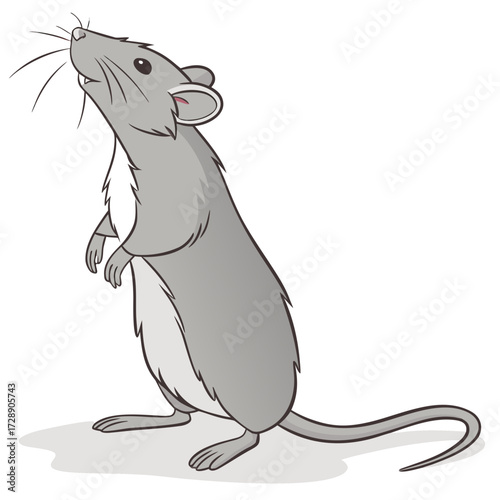 Cute cartoon grey rat standing on hind legs looking up with curiosity and its tail curled