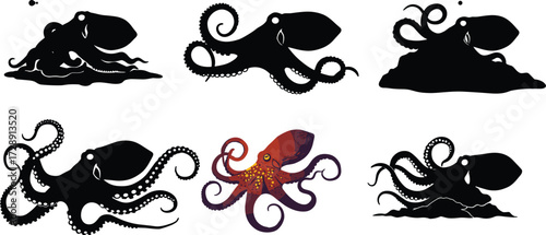 Silhouette of octopus, marine animal illustration, sea creature vector, underwater wildlife drawing, aquatic mollusk shapes, isolated octopus collection, ocean biology nature study design