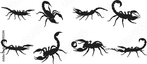 Silhouette of scorpions, black arachnid illustration, dangerous insect vector, wildlife pest drawing, venomous scorpion shapes, isolated collection, entomology biology nature study design