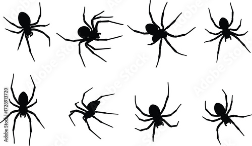 Silhouette of spiders, black arachnid illustration, crawling insect vector, wildlife pest drawing, scary spider shapes, isolated arachnids collection, biology nature study design