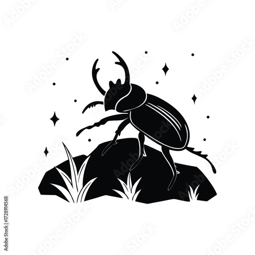 Darkling beetle crawling over rocks with shiny armor