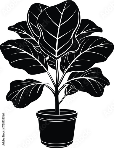 A person's hand reaching out holding a single seedling in a concept of new life and growth isolated on transparent background