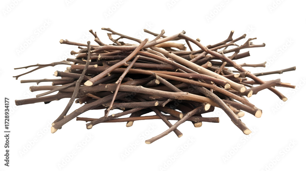 Obraz premium A pile of small twigs Isolated transparent on white background