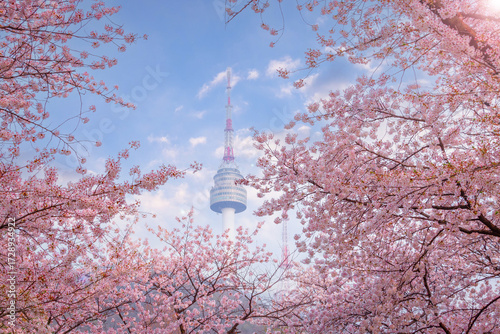 seoul tower in spring with cherry blossom tree in full bloom, south korea.