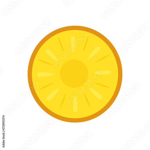Round slice of tropical pineapple fruit