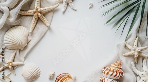 Beautiful Seashells on a White Background – a delicate and natural composition. The arrangement of seashells on the clean white background creates a fresh and elegant visual.
