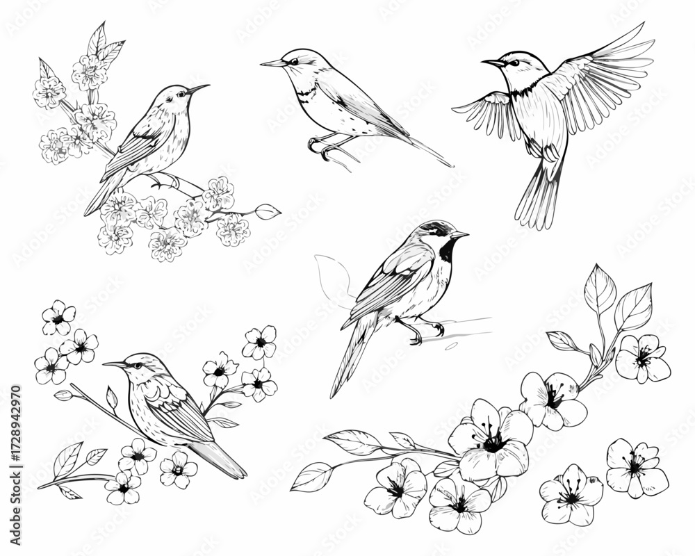 Fototapeta premium Collection of hand drawn birds and cherry blossoms in sketch style