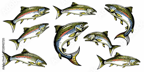 Collection of realistic rainbow trout fish illustrations in various poses and angles