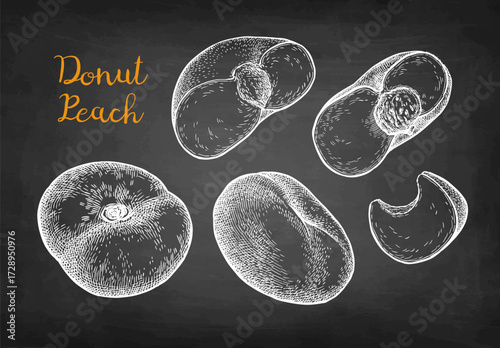 Flat peach. Set of chalk sketches.