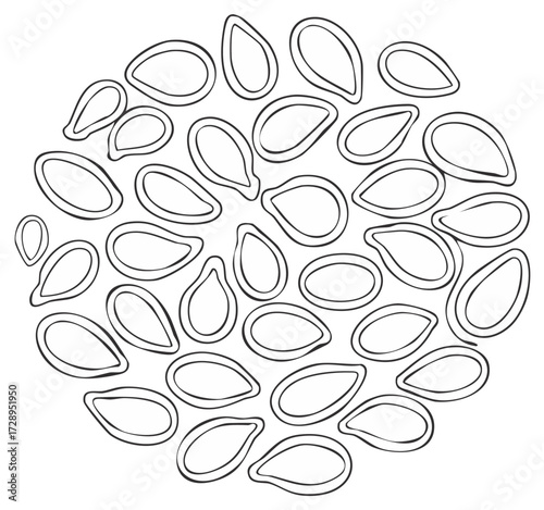 Pumpkin Seeds Graphic Illustration in Round Shape Line Art for Packaging Labels and Healthy Lifestyle Theme