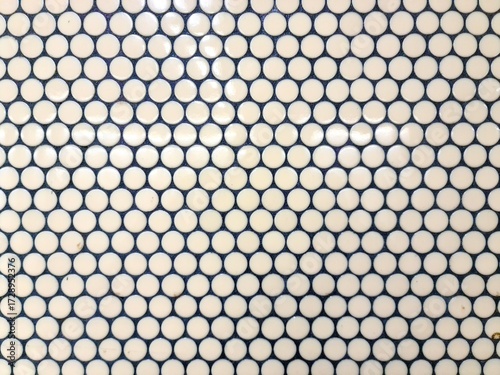 Quadro em tela White round penny tile mosaic texture background